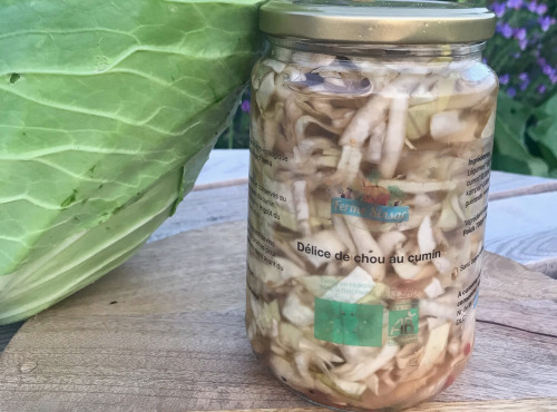 Ferme Sinsac - Délice de Choux au cumin