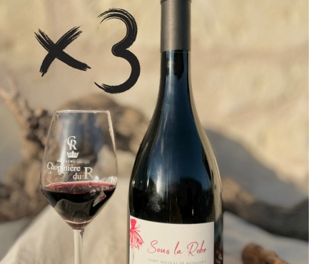 Domaine de la Chopinière du Roy - Lot de 3 Bouteilles de vin rouge Saint Nicolas de Bourgueil cuvée Sous la Robe 2023 - 3 x 75 cl