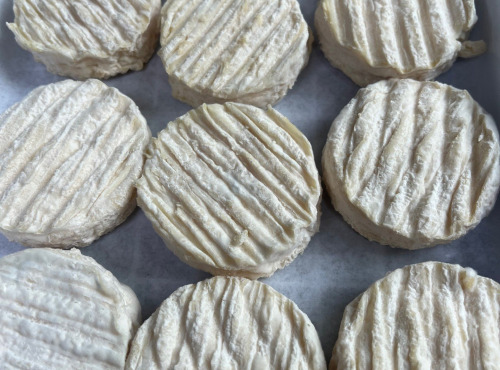 Domaine Reverchon - Fromage de chèvre demi sec x4