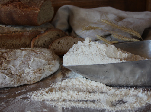 Le Verger de Crigne - Farine petit-épeautre - 2kg