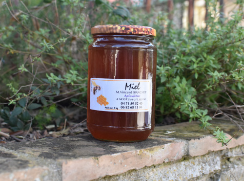 La Truite du Mézenc - Miel de Thym Garrigues - 1kg