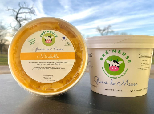 Glaces de Meuse - Sorbet Plein Fruit "Mirabelle IGP de Lorraine" - 360g