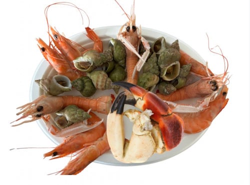 Le Termer - Plateau de fruits de mer 1