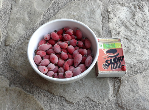LES JARDINS DE KARINE - Baie d'églantier dit Cynorhodon surgelé - 500g