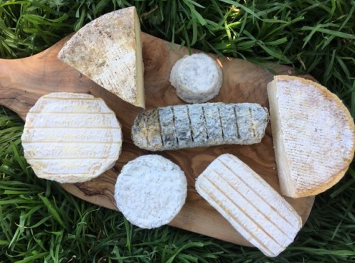 Ferme Fromagère Riès - Plateau Découverte De Fromages Fermiers De Brebis, Chèvre Et Vache