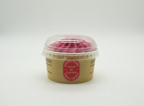 GT Designer Glacier - Sorbet Fleur de cactus 80ml