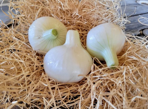 Les Jardins de Gérard - Oignon doux Cénol Bio - 500 g