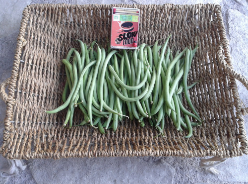 LES JARDINS DE KARINE - Haricot vert pour 4 (500g)