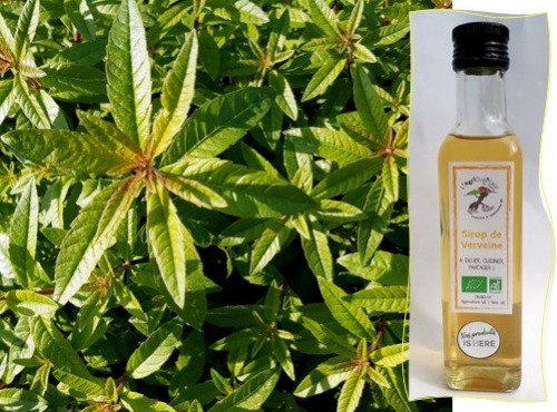 L'Agricueilleur du Suzon - Sirop de Verveine BIO - 50cl