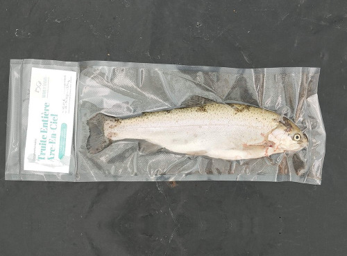 Nature et Saveurs - Ferme Aquaponique et Permacole Astérienne - Truite Arc En Ciel Entière et Vidée Sous Vide