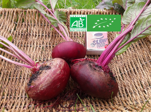 LES JARDINS DE KARINE - Betterave rouge avec feuilles - 1kg