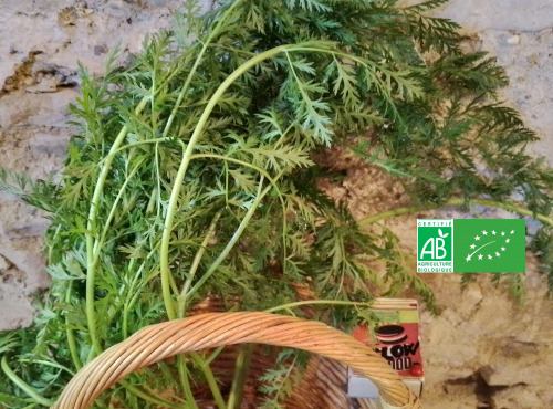 LES JARDINS DE KARINE - Feuilles de Carotte - 250g