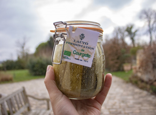 ChâteauFer - Lacto de courgette 750g