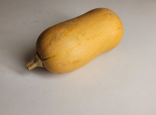 Maison Quéméner - Butternut x 5 pièces (environ 5 kg)