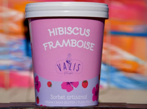 Valis Fleurbet - Sorbet plein fruit Framboise Hibiscus 480ml