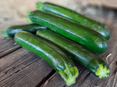 Les Jardins de Gérard - Courgette longue verte Bio - 500 g