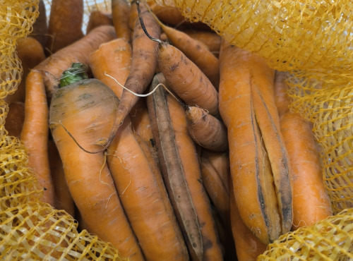Ferme Joos - carottes déclassées pour animaux 10kg