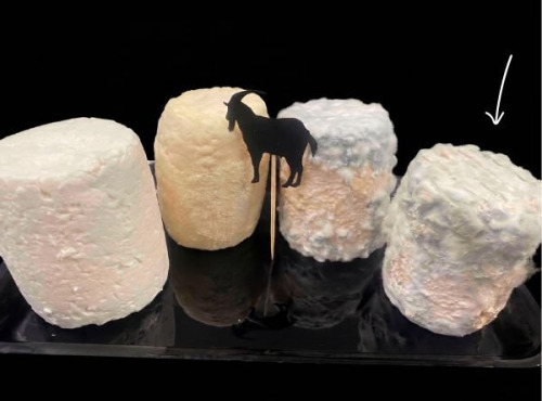 Ferme les Avoineries - Grand chèvre affiné x4