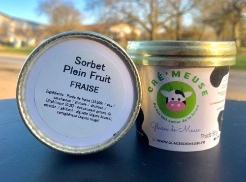 Glaces de Meuse - Lot P'tit Pot "Fraise" - Sorbet PF (90gr)