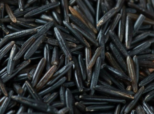 Adal Terra - Farine Complète De Riz Noir Bio De Camargue