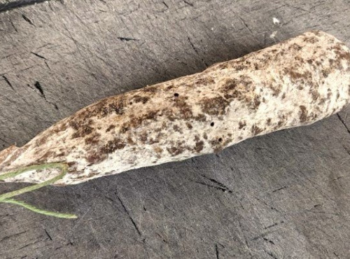 Ferme Joos - Saucisson sec de boeuf : Ferme Delmotte