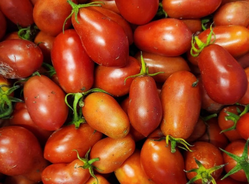 ChâteauFer - Tomate roma 1kg