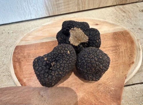 JMC Truffes - TRUFFES FRAICHES D'AUTOMNE  TUBER UNCINATUM 1000 G