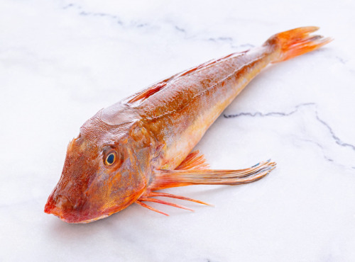 Poissonnerie La Piriacaise - Grondin (Tombe) 500g