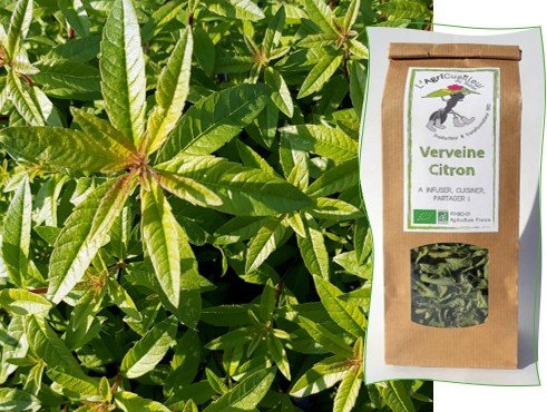L'Agricueilleur du Suzon - Infusion Verveine citron BIO