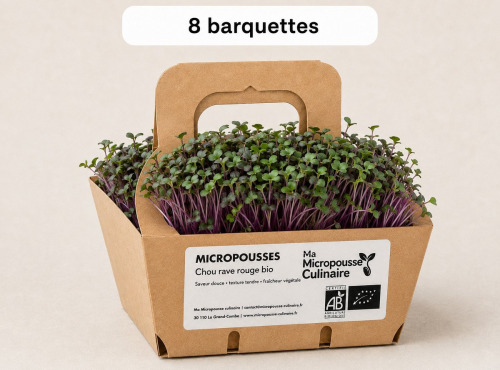 Ma Micropousse culinaire - Micro-pousses bio de chou-rave rouge (Red Kohlrabi) – 4 barquettes