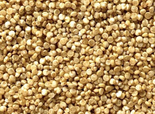 BERRY GRAINES - Tournesol décortiqué BIO origine France - 300g
