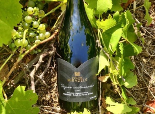 Domaine Miradels - AOC Corbières - Vignes Centenaires Domaine Miradels 2017 - 3 bouteilles