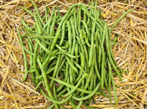 La Ferme de Goas Per - Haricot vert Bio - 750g