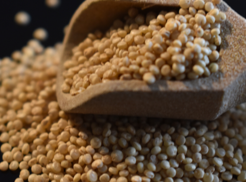 Adal Terra - Farine Complète Bio De Quinoa Français 300g