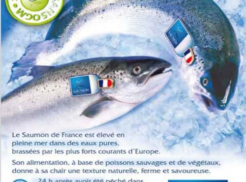 Godaille de l'Armement Cherbourgeois - En Direct du Bateau - Saumon entier de Cherbourg - pièce de 6kg