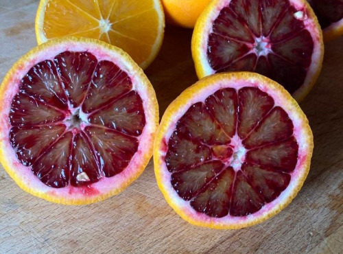 Les Hespérides - Coopérative de la Riviera Française - Orange sanguine 5kg