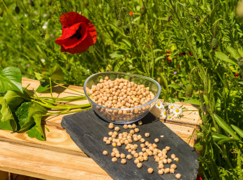 Sa Majesté la Graine - Pois Chiches HVE origine France - 350g