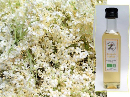 L'Agricueilleur du Suzon - Sirop de Sureau BIO - 25cl