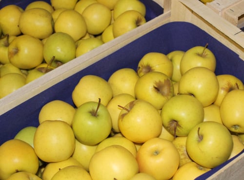 Le Châtaignier - Pommes Catégorie 2 - 50kg