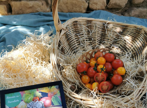 Les Jardins de Gérard - Tomate Cerise Meli mélo Bio x 3 kg