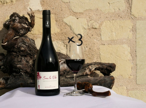 Domaine de la Chopinière du Roy - Lot de 3 Bouteilles de vin rouge Saint Nicolas de Bourgueil cuvée Sous la Robe 2024 - 3 x 75 cl