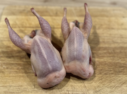 Ferme du Vidalies - [Précommande] Noël - lot de 20 cailles chaponnées