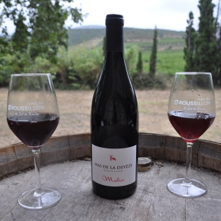Mas De La Devèze - Côte du Roussillon AOP - Malice Rouge 2023x6