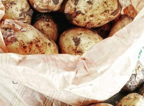 Ferme Joos - Pommes de terre nouvelles Adora - 1Kg