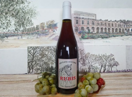 Cave Creuzet - Les Caves aux Caux - AOC Coteaux du Vendômois Rouge "Rubis Trotte Putain" 2024 - Lot de 6