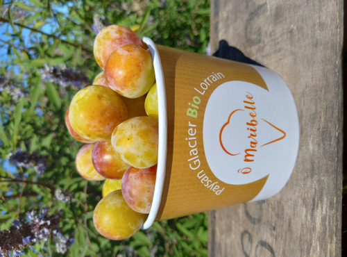 O Maribelle - Mirabelles IGP de Lorraine - BIO