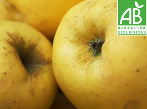 Mon Petit Producteur - Pomme Tentation