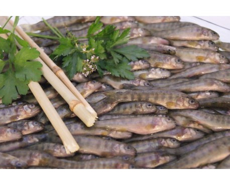 Ma poissonnière - Friture De Truite - Lot De 2 Kg