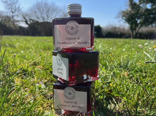 Myrtilles du Trimoulet - Lot de 3 liqueurs 200 mL: 1 de chaque parfum