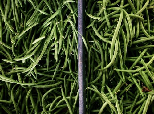 La Ferme d'Artaud - Haricots verts 2kg